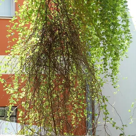 Апартаменты Buda Castle Будапешт