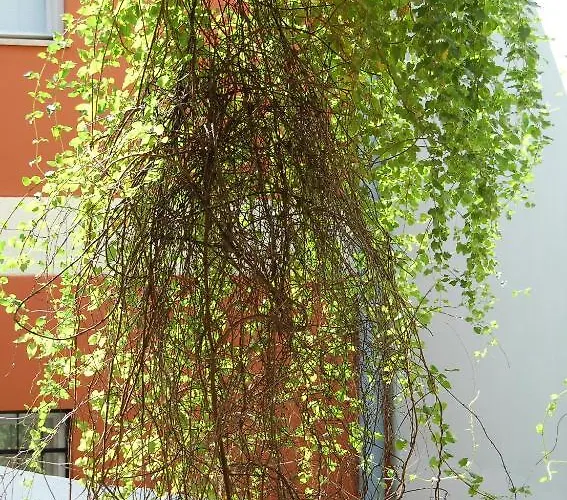 Apartamento Buda Castle Budapest