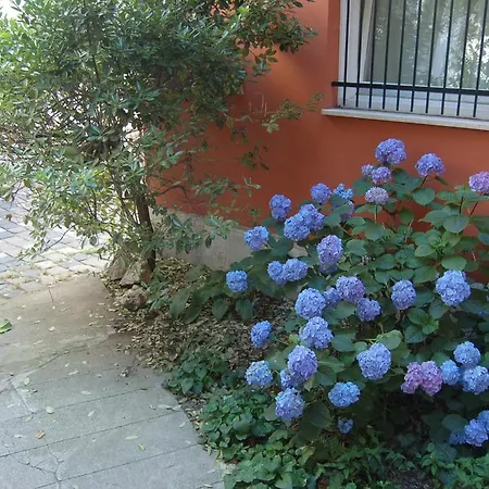 Buda Castle Boedapest