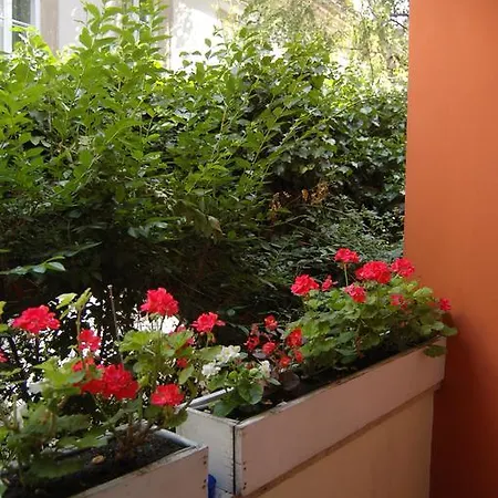 Buda Castle Appartement *