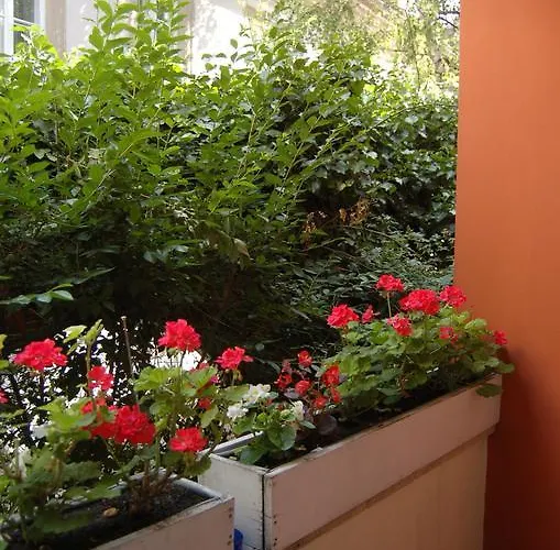 Buda Castle شقة *